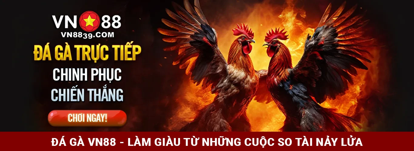 Banner sảnh Đá gà VN88