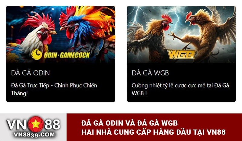 Đá gà ODIN và Đá gà WGB là hai nhà cung cấp hàng đầu tại Nhà cái VN88