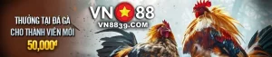 Tham gia Đá Gà ODIN nhận ngay 50k tiền thưởng